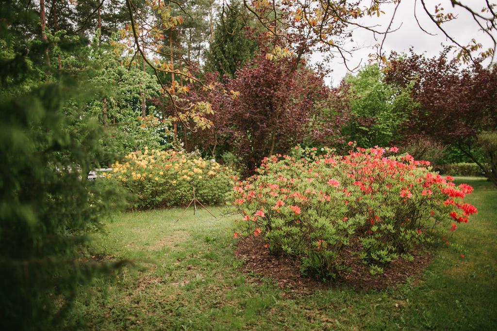 Bed & Breakfast Bobrowa Dolina
